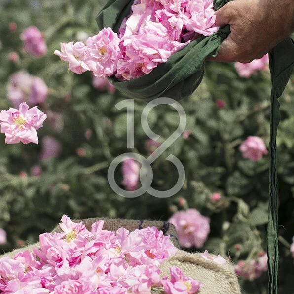 Création logo et marque-produit pour une marque de parfum provencal à angers